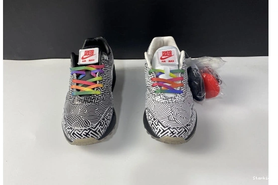 Tokyo Max Air 1 Nike Maze CI1505-001 0302